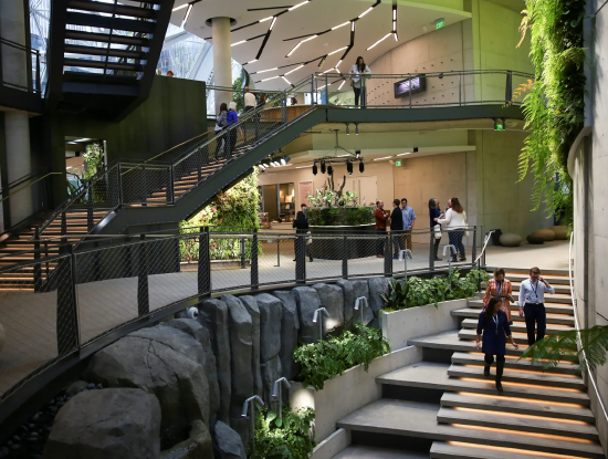 亚马逊已在多种工作职能中使用ChatGPT 包括编写代码等