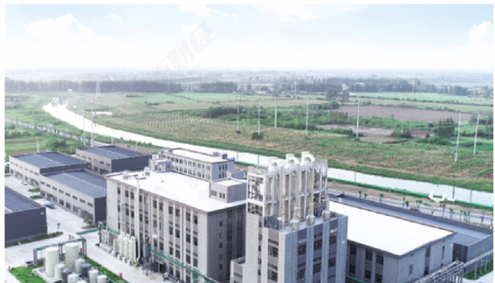 仅3名销售即营收过亿,色如丹毛利率走低外销过半,持续性存疑