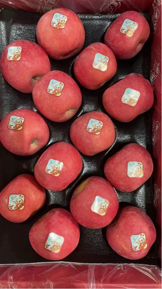 已爆单!他接下300万斤苹果,正日夜加班出货……