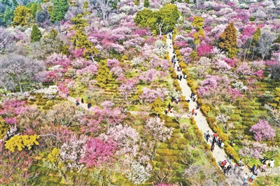 旅游市场近期迎来淡季“小阳春”