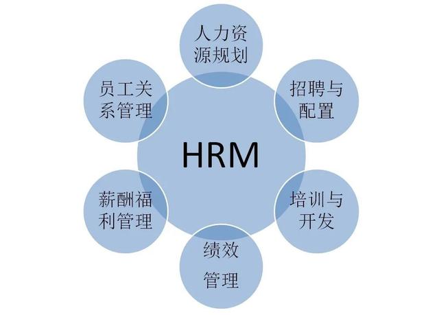 人力资源信息管理平台 人力资源信息管理平台功能
